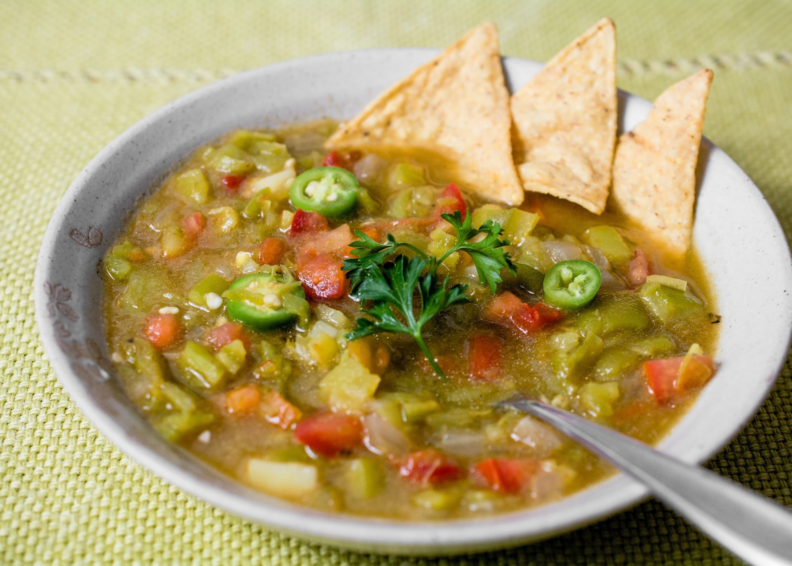 Green Chili Pork Stew Ketogenic Diet Resource