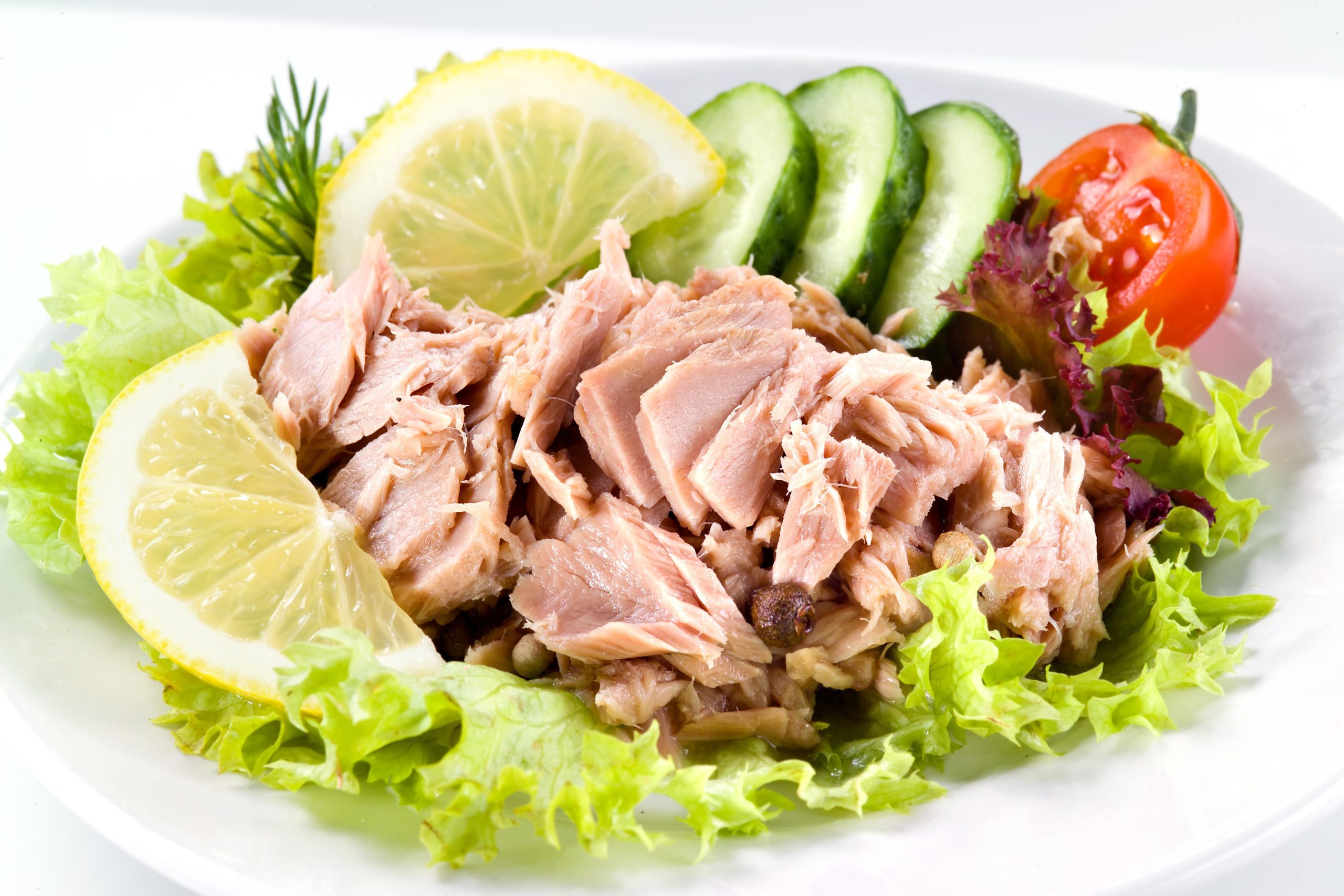 Lemon Dill Tuna Salad Ketogenic Diet Resource